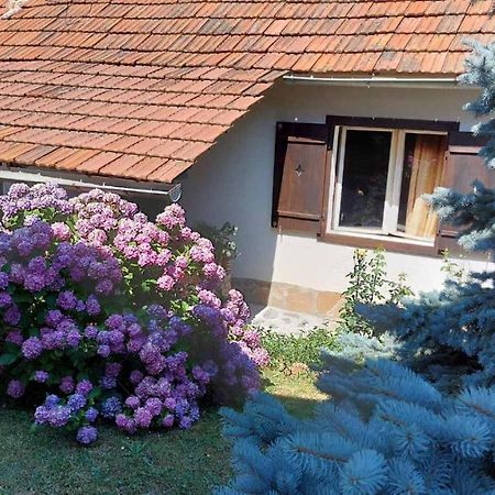Apartman Nebojsa Rudnik Extérieur photo