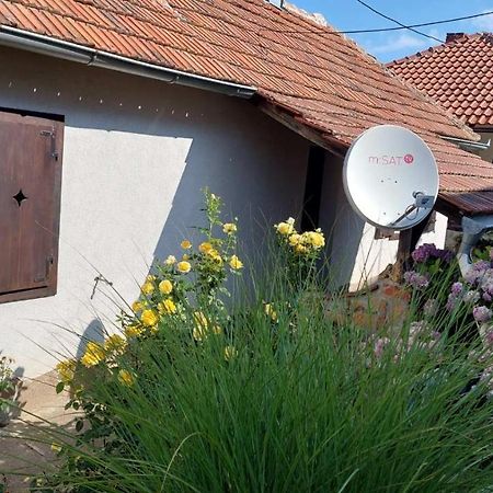 Apartman Nebojsa Rudnik Extérieur photo