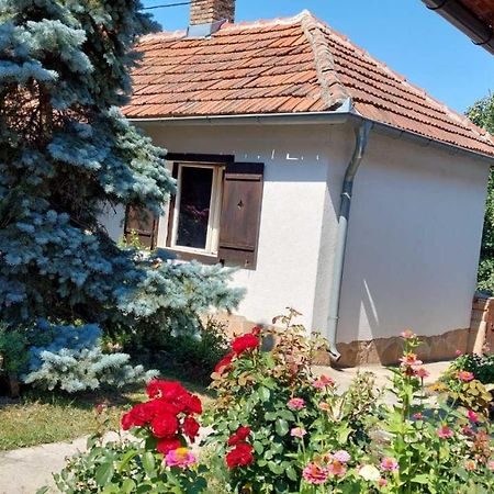 Apartman Nebojsa Rudnik Extérieur photo