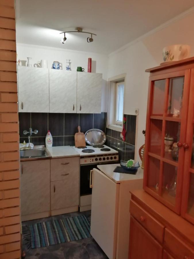 Apartman Nebojsa Rudnik Extérieur photo
