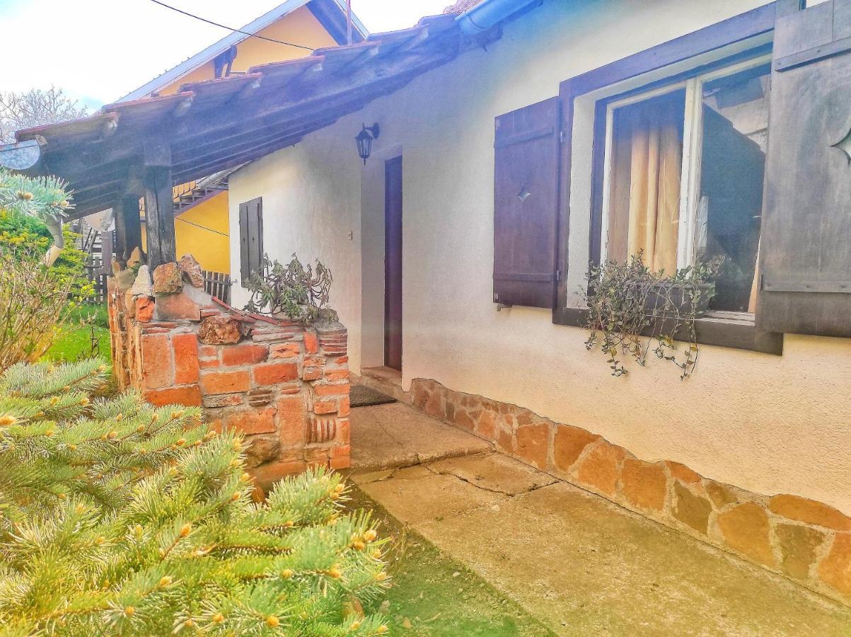 Apartman Nebojsa Rudnik Extérieur photo