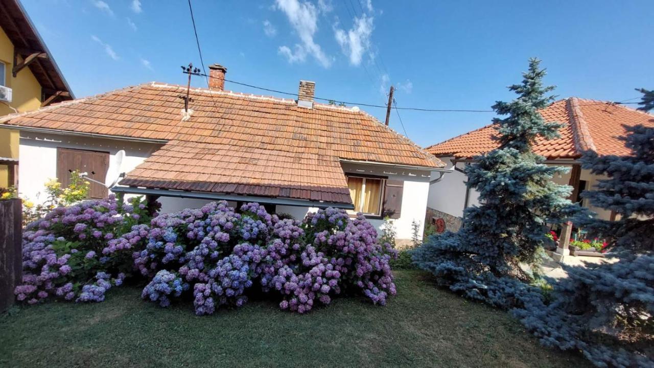Apartman Nebojsa Rudnik Extérieur photo