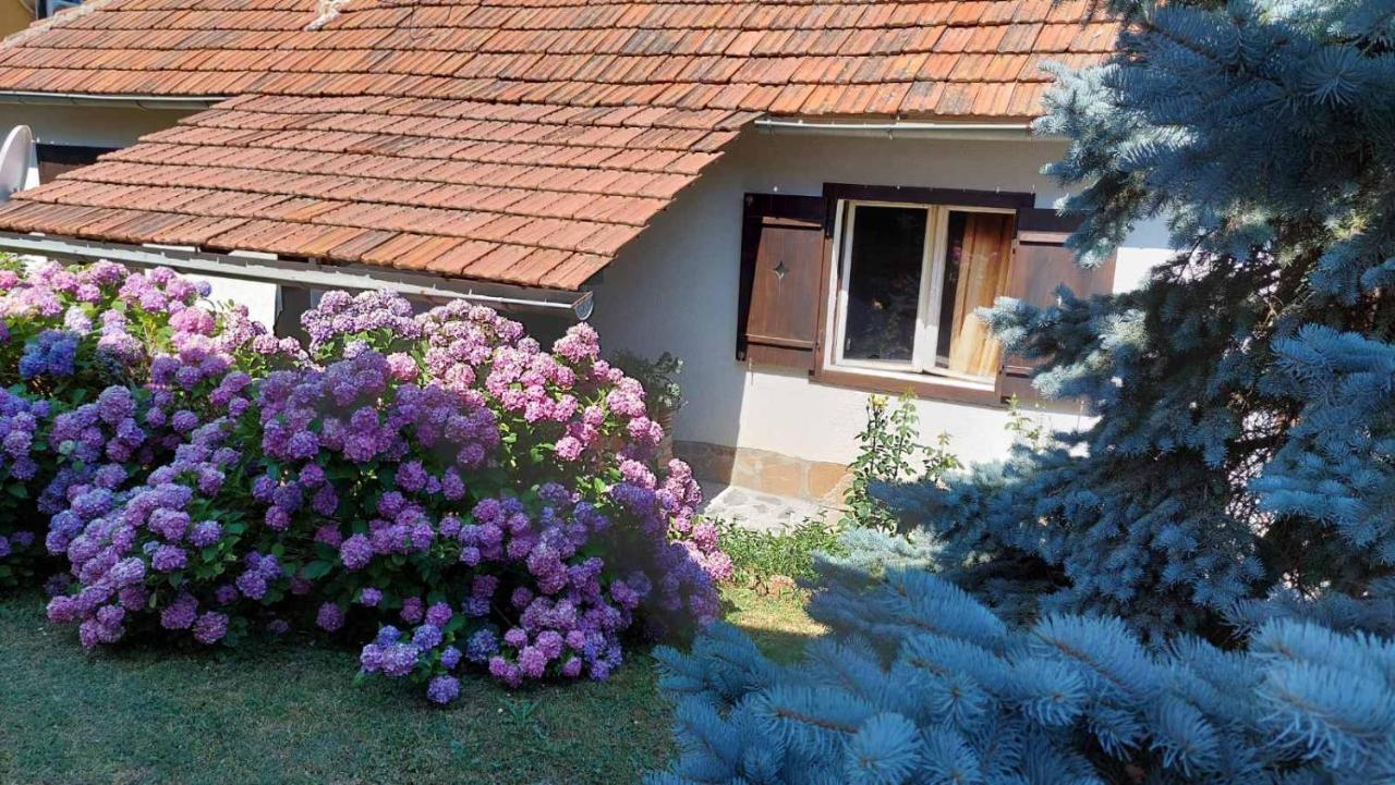 Apartman Nebojsa Rudnik Extérieur photo
