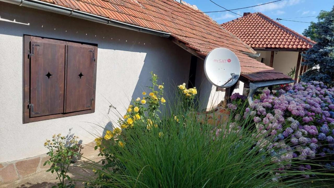 Apartman Nebojsa Rudnik Extérieur photo