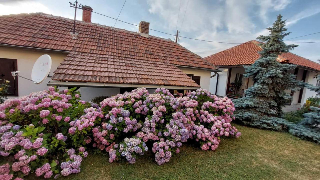 Apartman Nebojsa Rudnik Extérieur photo
