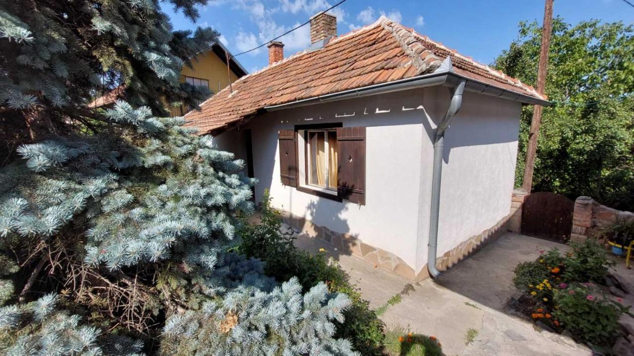 Apartman Nebojsa Rudnik Extérieur photo