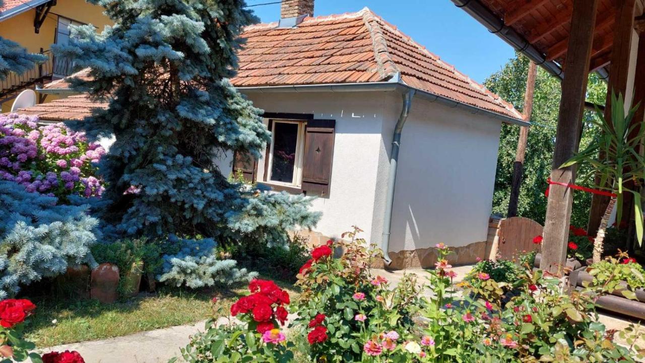 Apartman Nebojsa Rudnik Extérieur photo