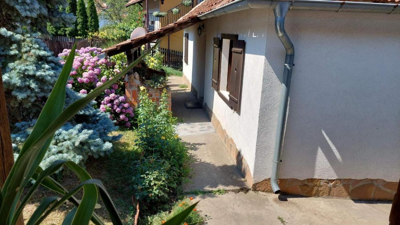 Apartman Nebojsa Rudnik Extérieur photo