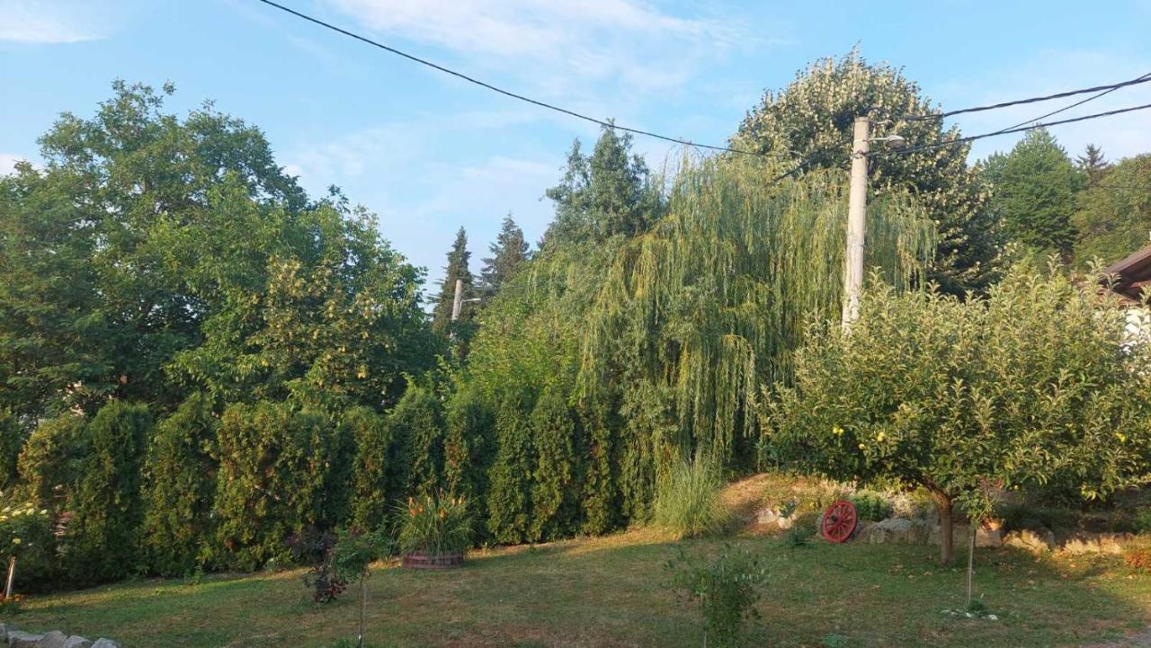 Apartman Nebojsa Rudnik Extérieur photo
