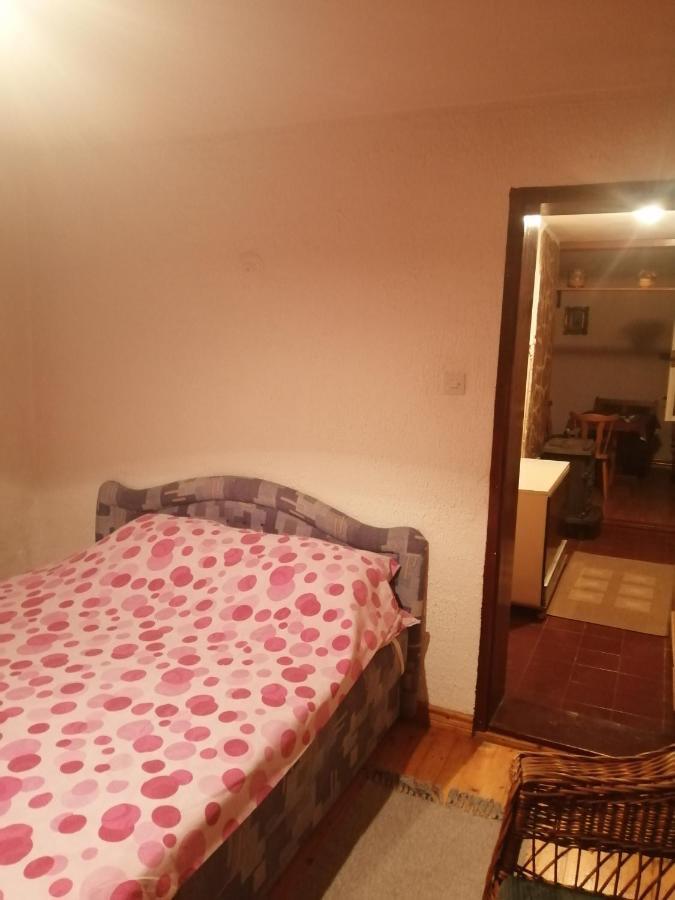 Apartman Nebojsa Rudnik Extérieur photo