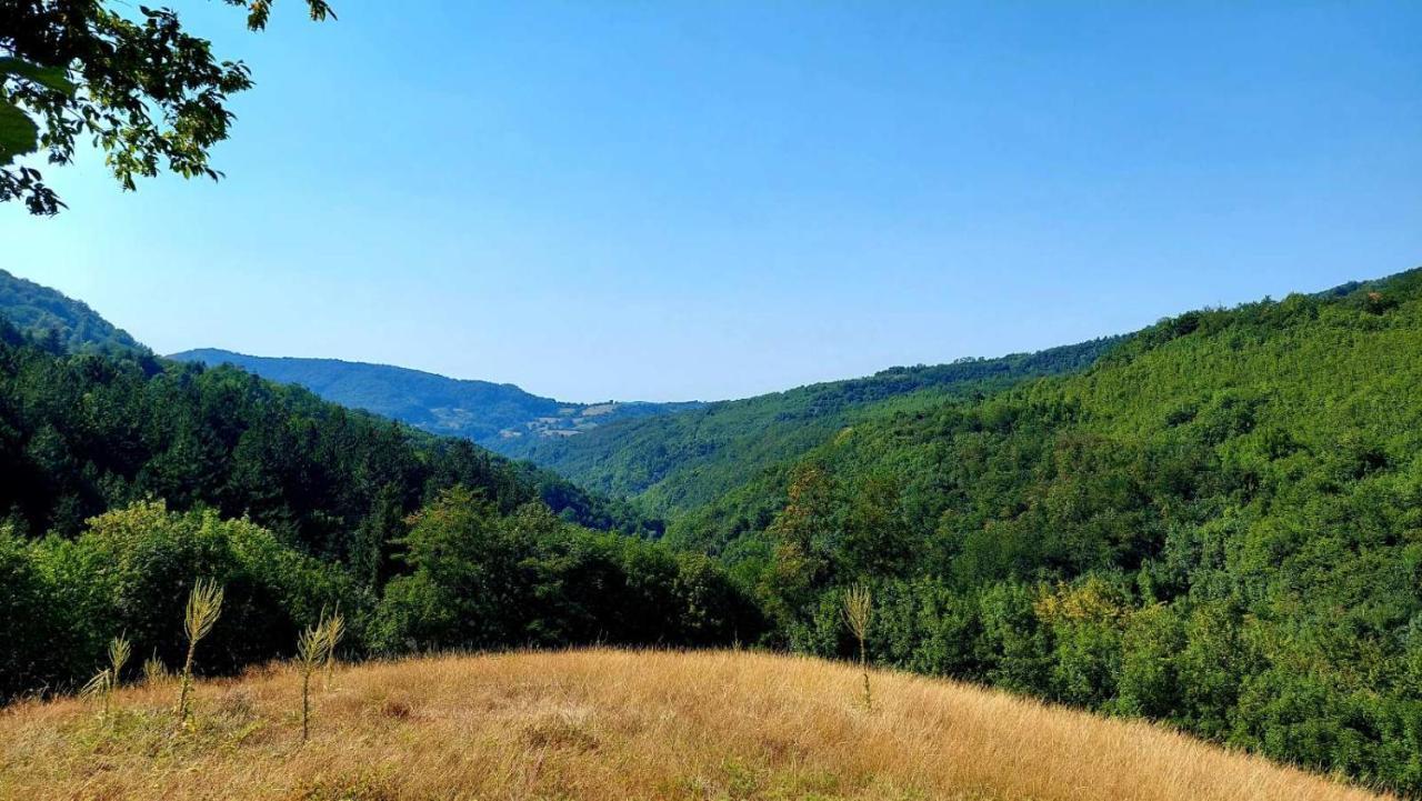 Apartman Nebojsa Rudnik Extérieur photo